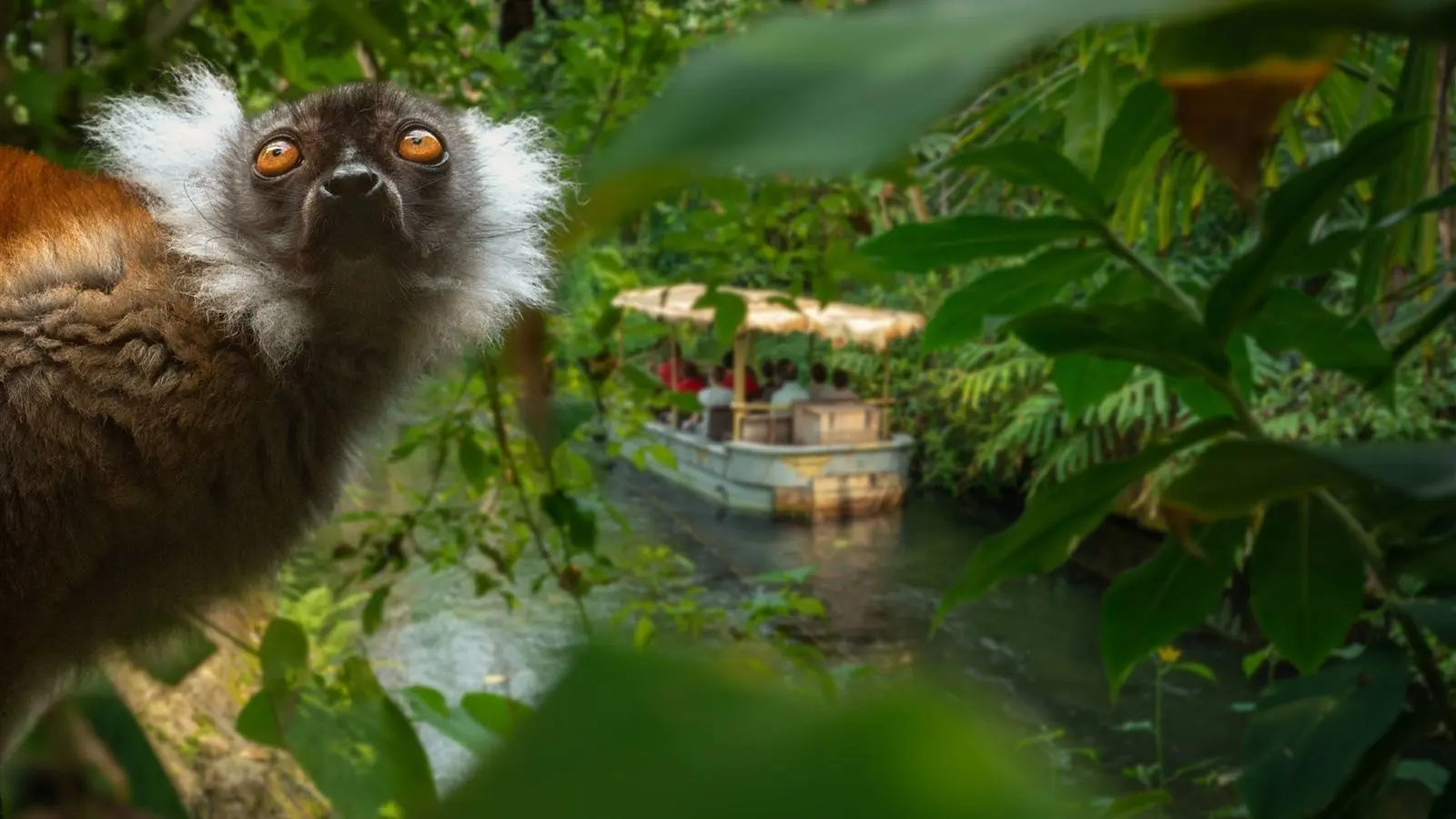 WILDLANDS Adventure Zoo Emmen