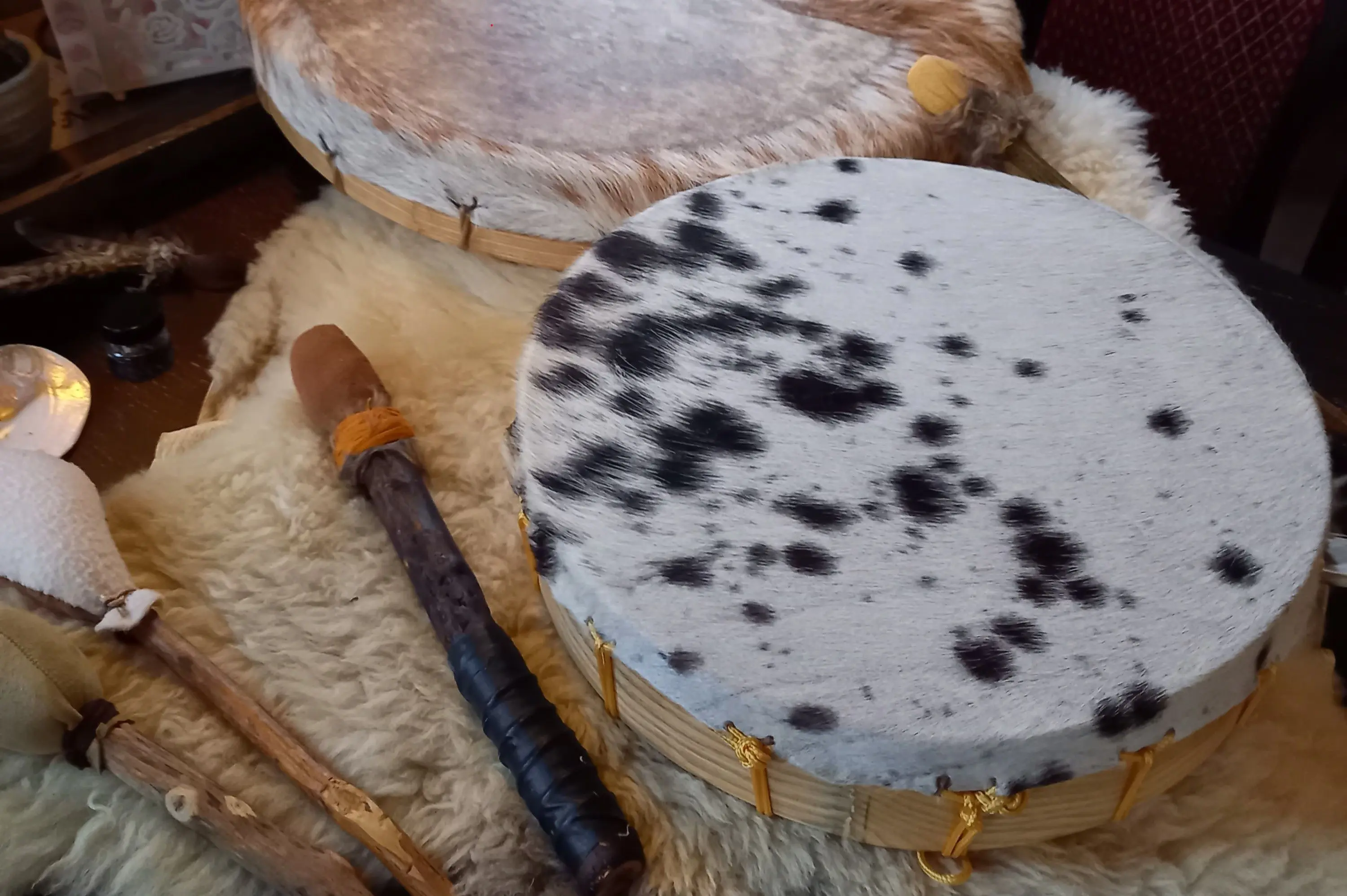 Sjamaan drum geit en koe